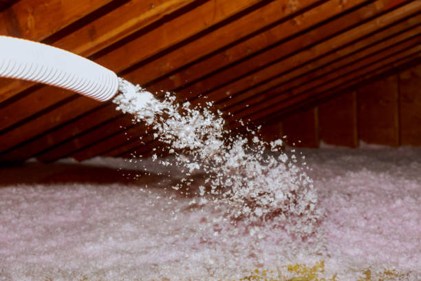Best Types of Insulation in Bellevue, WI