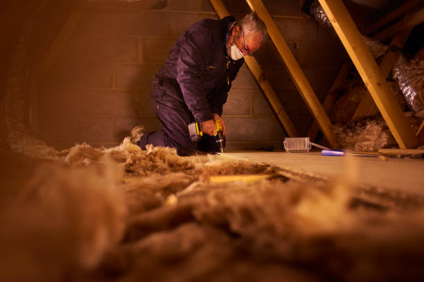 Best Insulation Maintenance and Repair in Bellevue, WI
